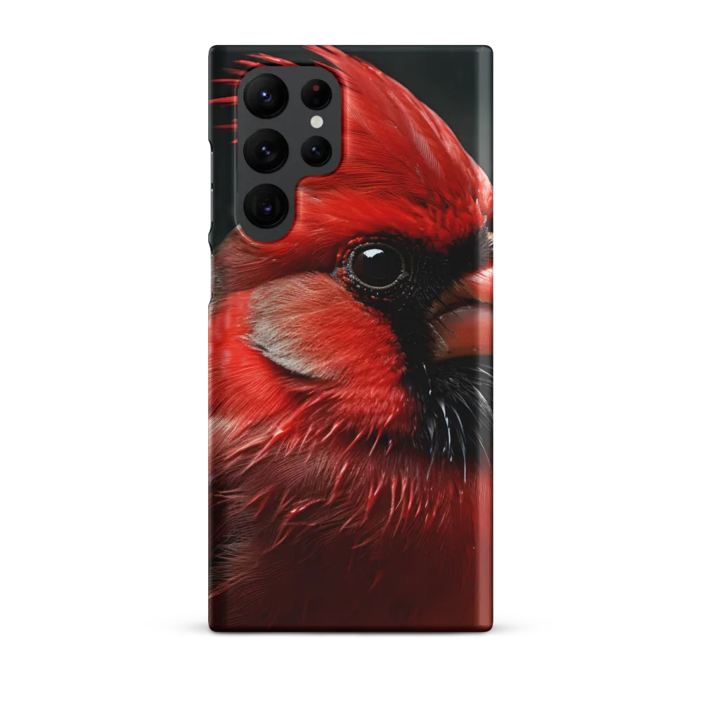 The Bold Cardinal