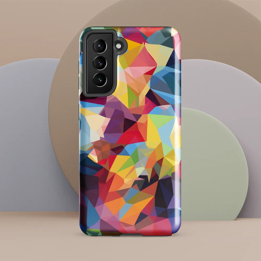 Playful Geometry: The Bear's Face