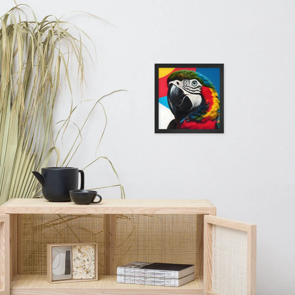 Scarlet Macaw Close-Up 
 Poster with Black Frame | 12″x 12″