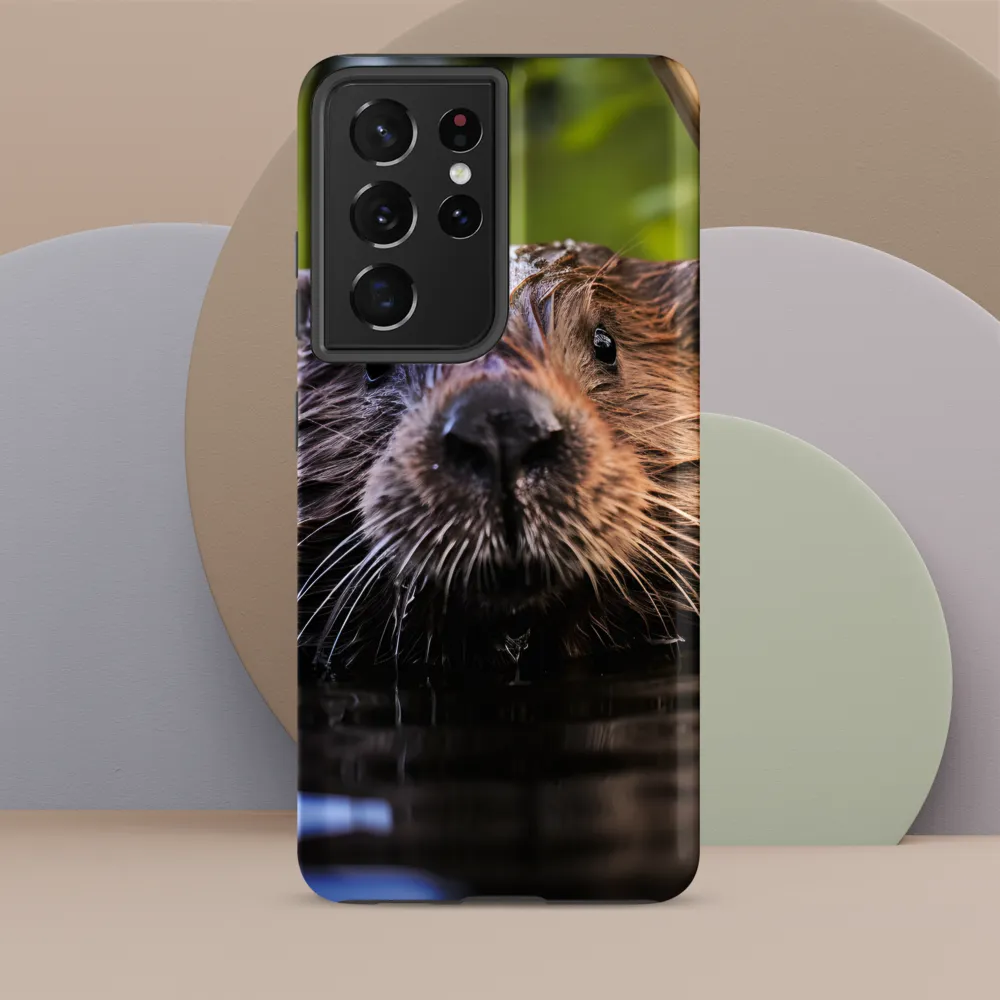 Emergence of the Beaver