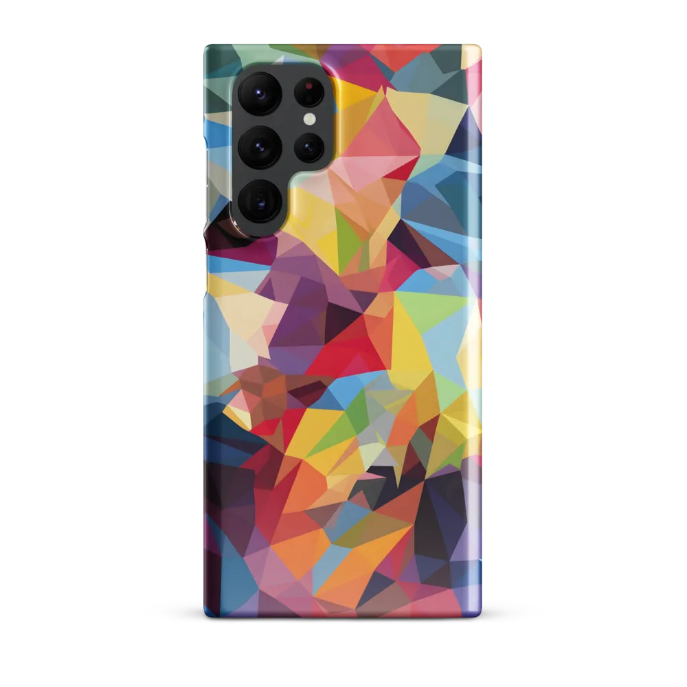 Playful Geometry: The Bear's Face