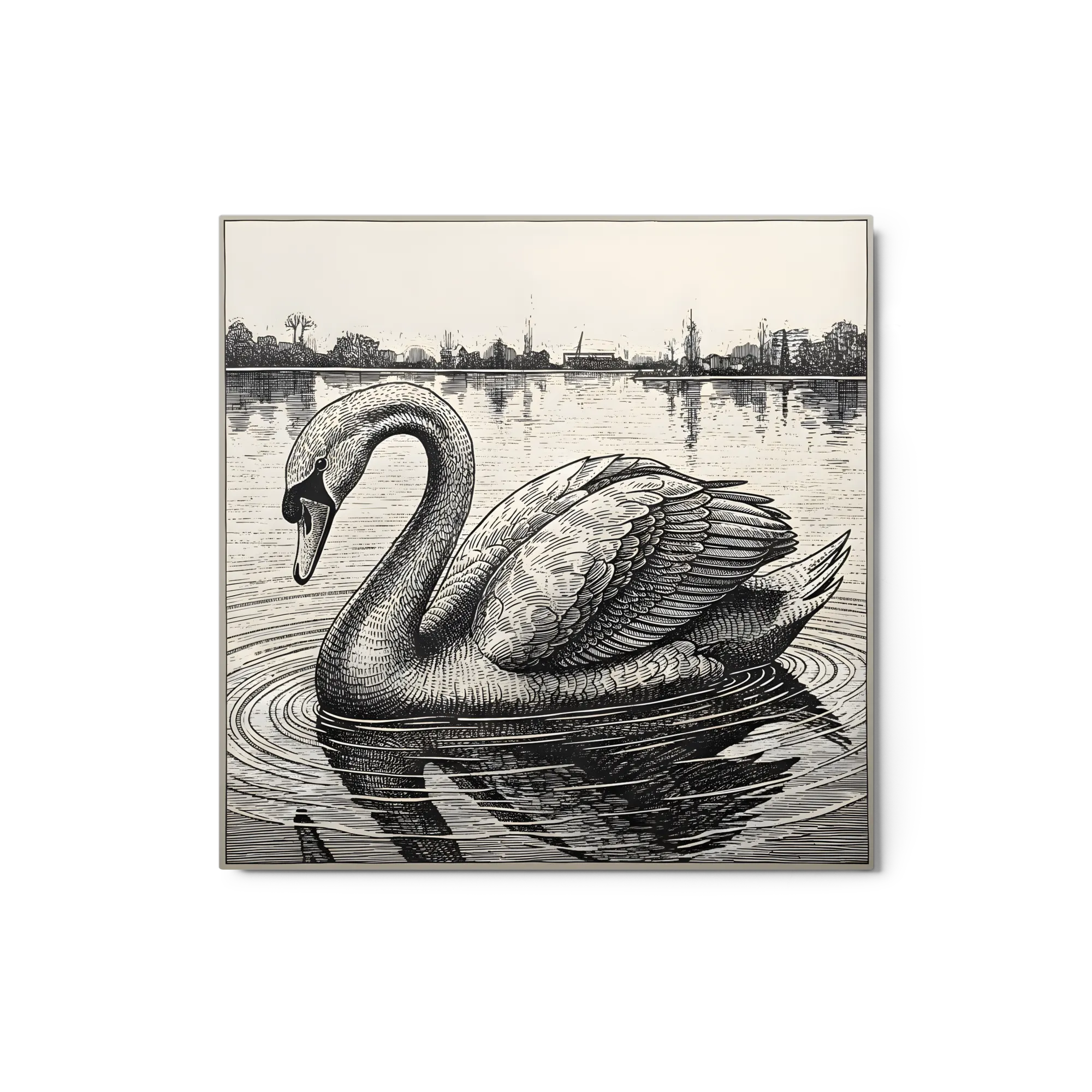 Etched Swan 
 Metal Print | 12″x 12″