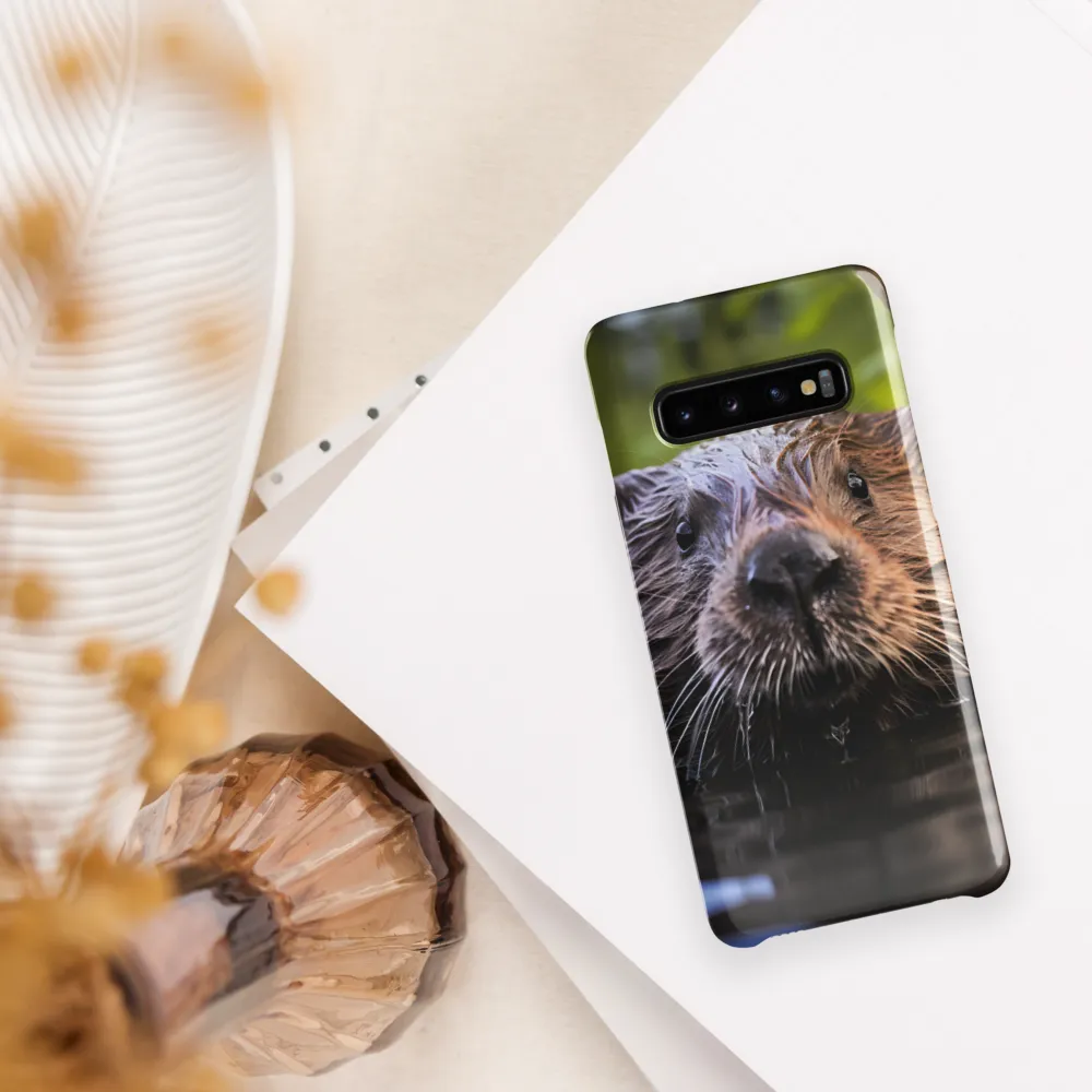 Emergence of the Beaver