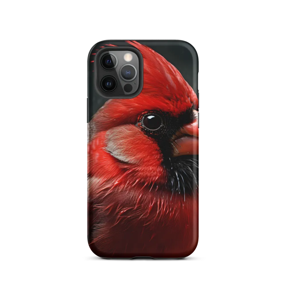 The Bold Cardinal