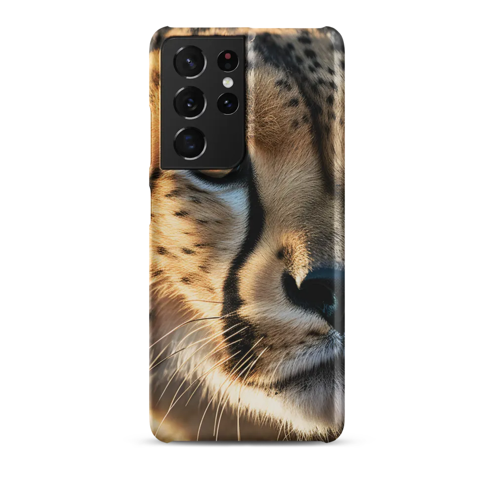 The Intense Gaze of the Cheetah