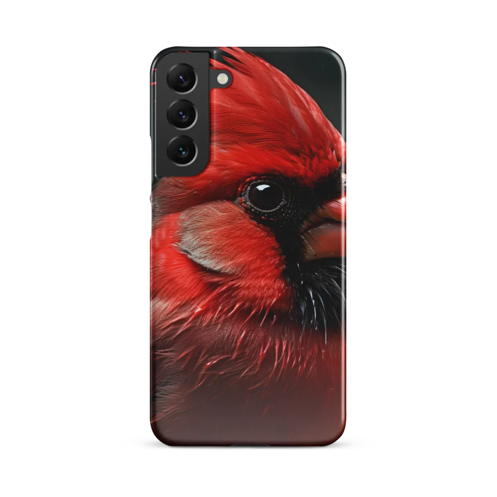 The Bold Cardinal