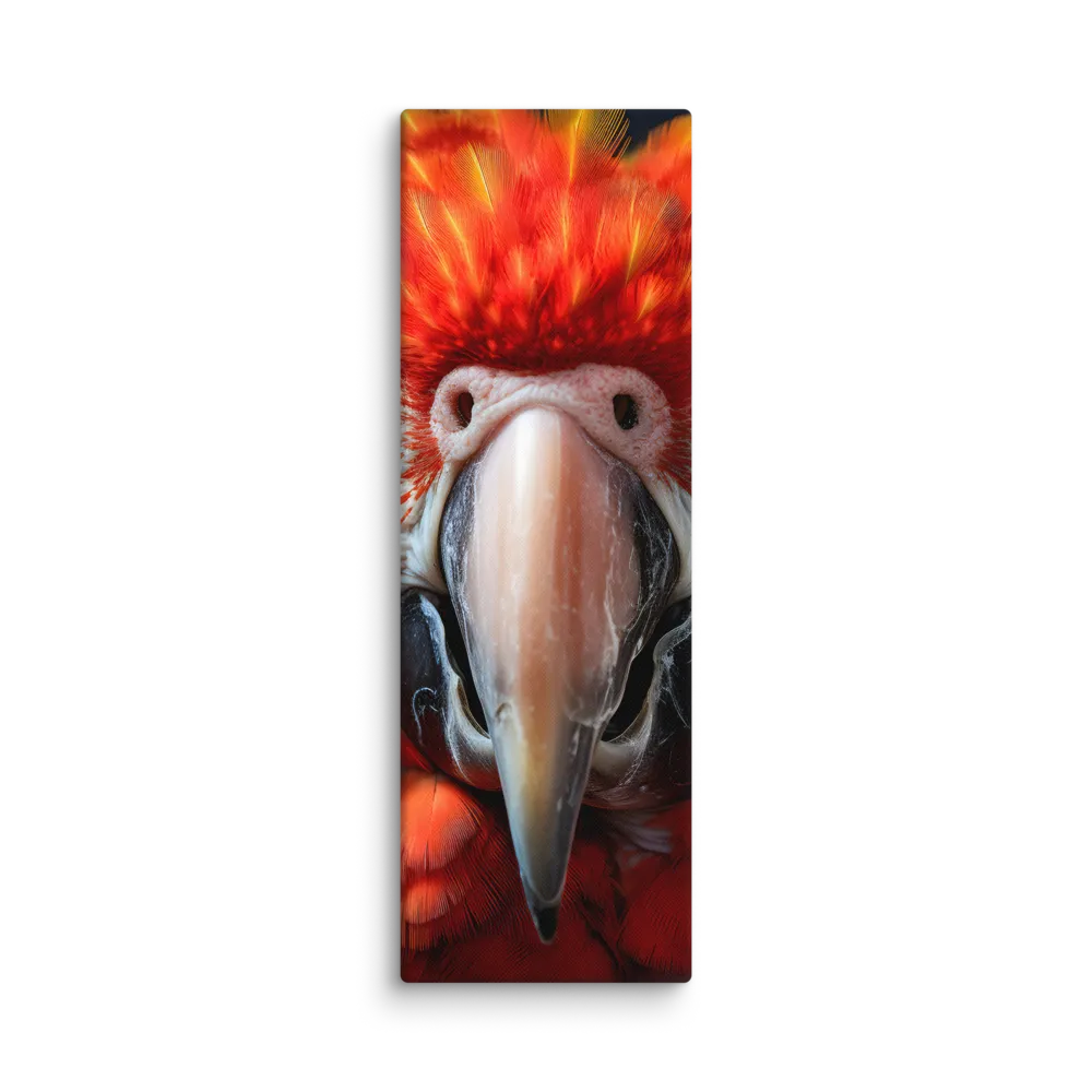The Fiery Gaze of the Parrot