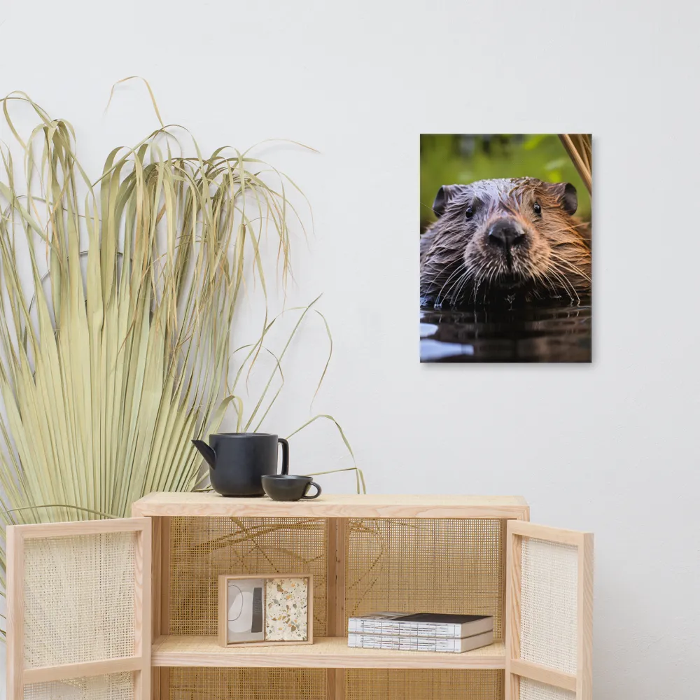 Emergence of the Beaver
