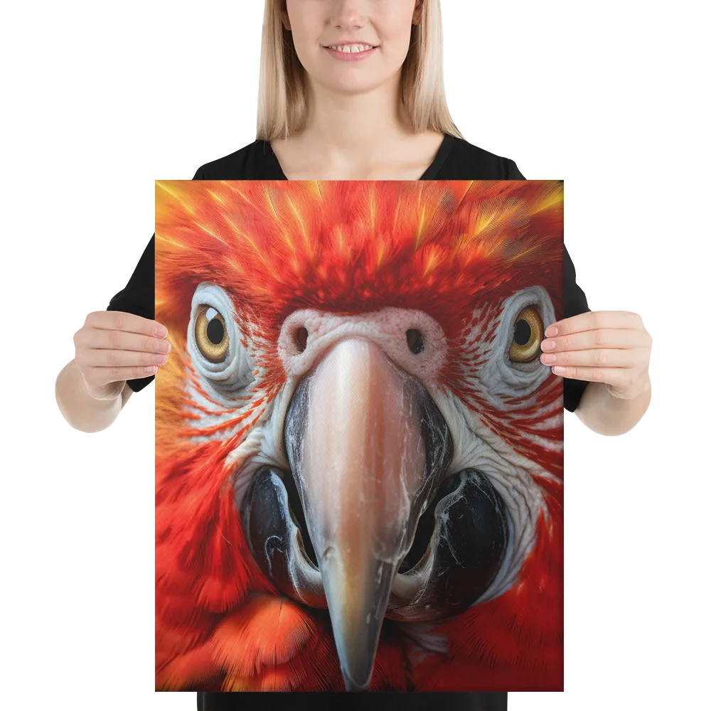 The Fiery Gaze of the Parrot | Canvas | 16″×20″