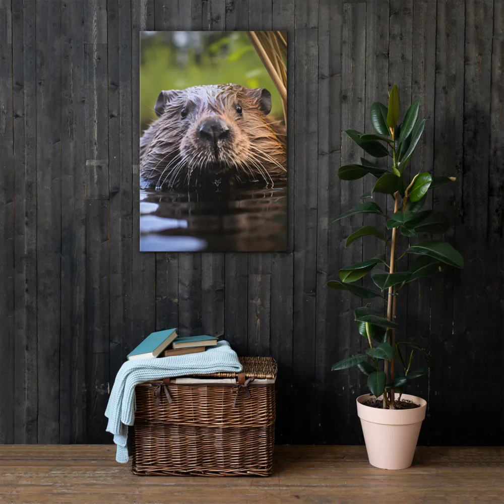 Emergence of the Beaver