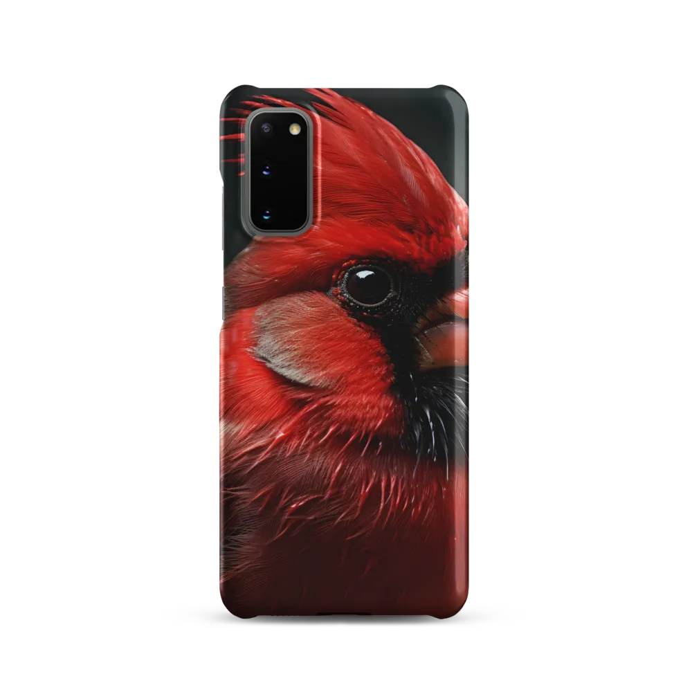 The Bold Cardinal