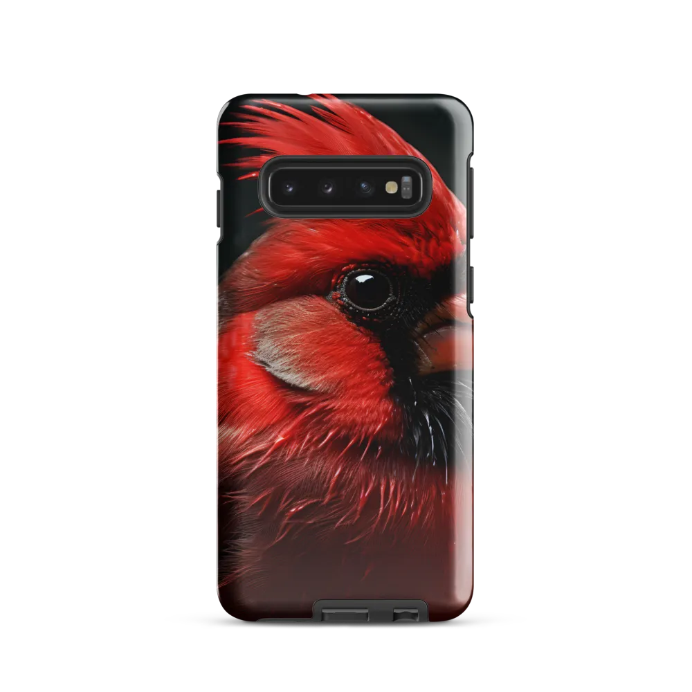 The Bold Cardinal