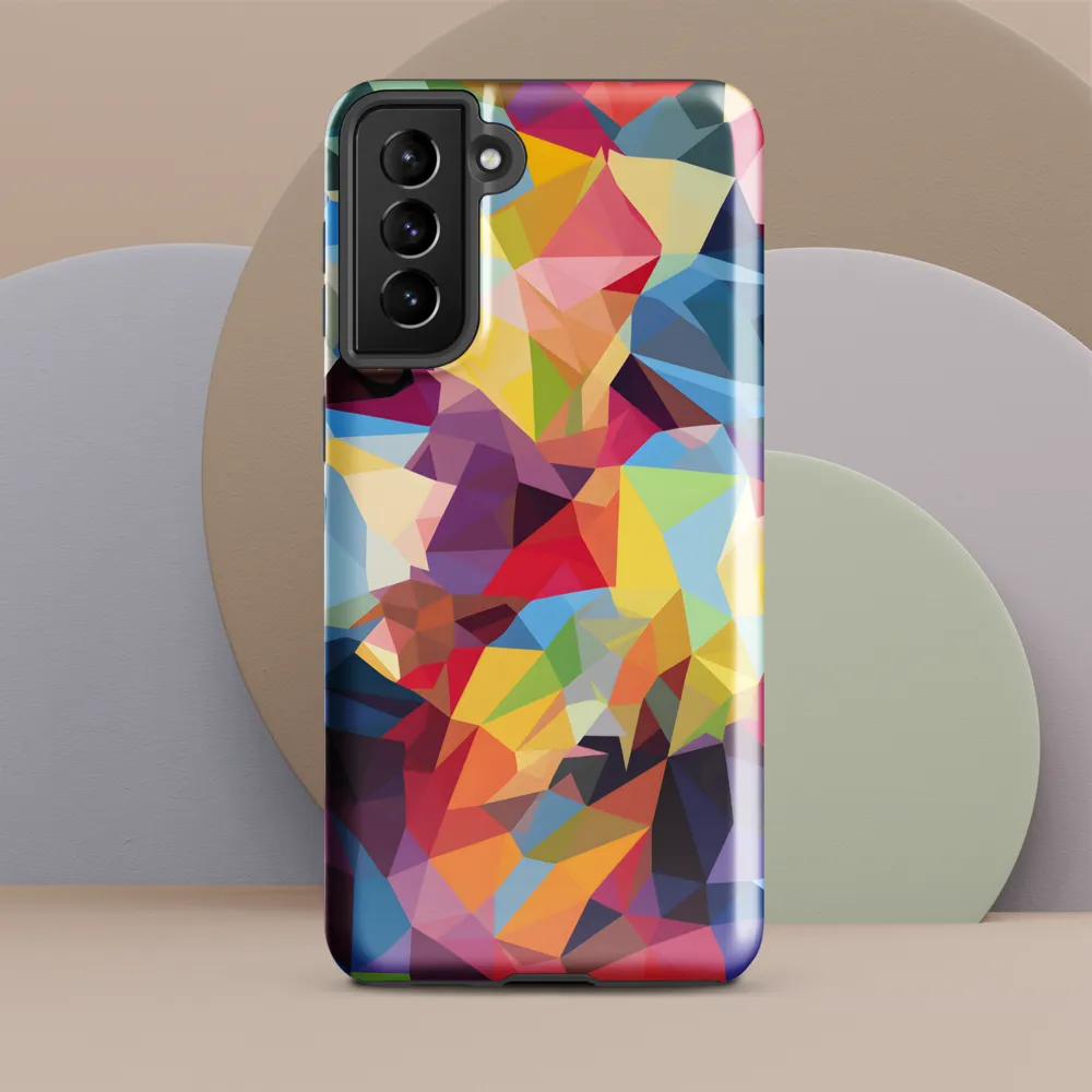 Playful Geometry: The Bear's Face