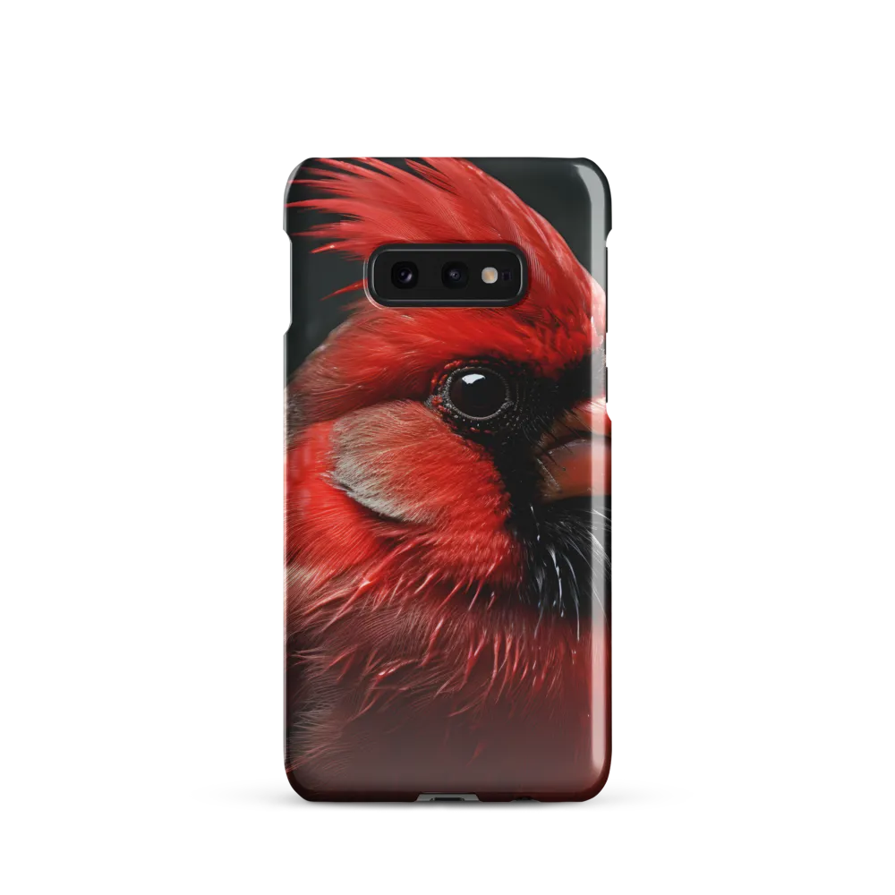 The Bold Cardinal