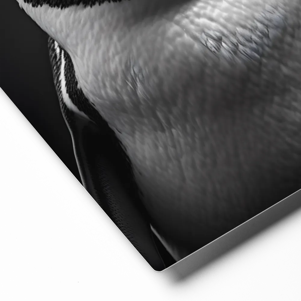 Majestic Penguin Portrait | Metal Print | 8″×10″