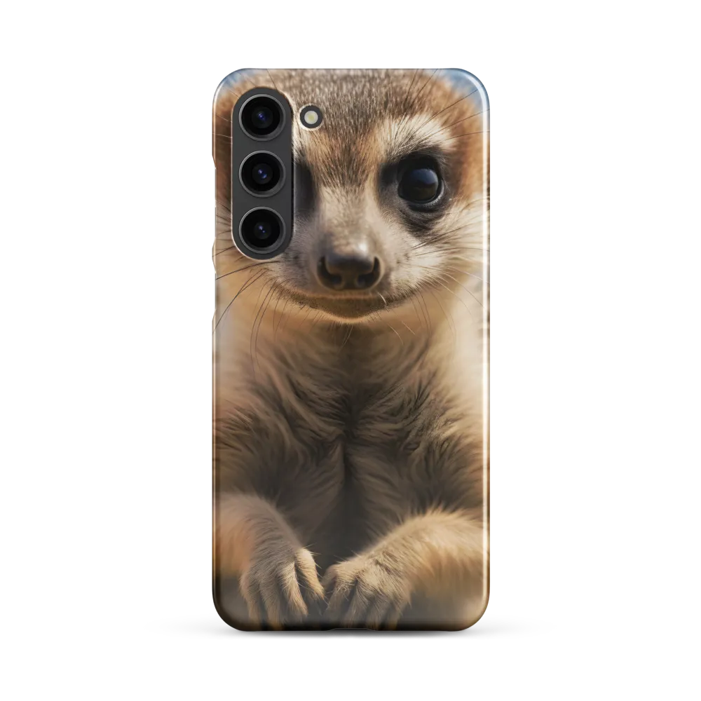 Curious Stance: The Meerkat's Gaze