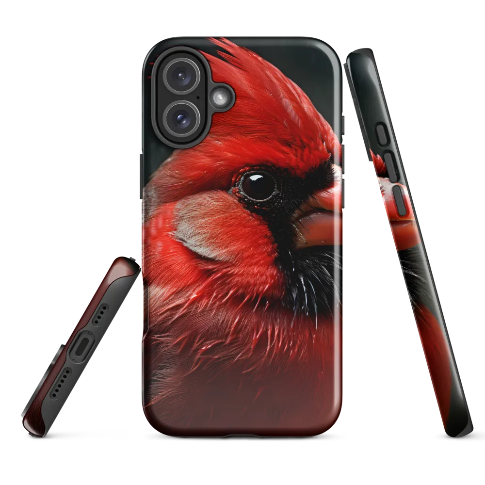 The Bold Cardinal