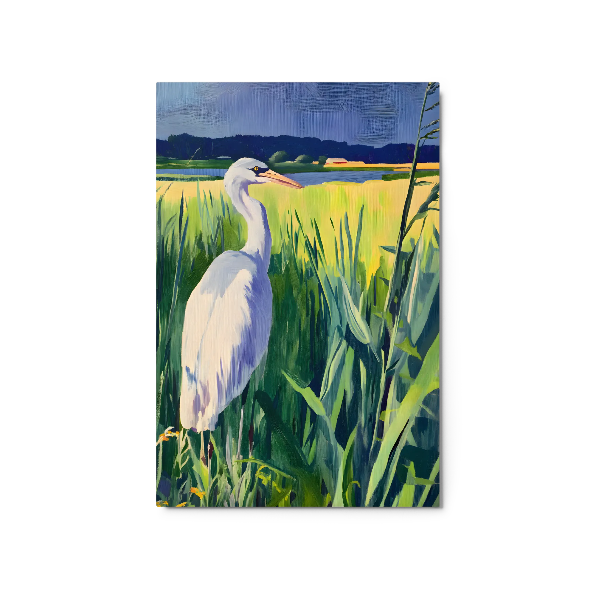 Egret in the Wetlands 
 Metal Print | 20″x 30″