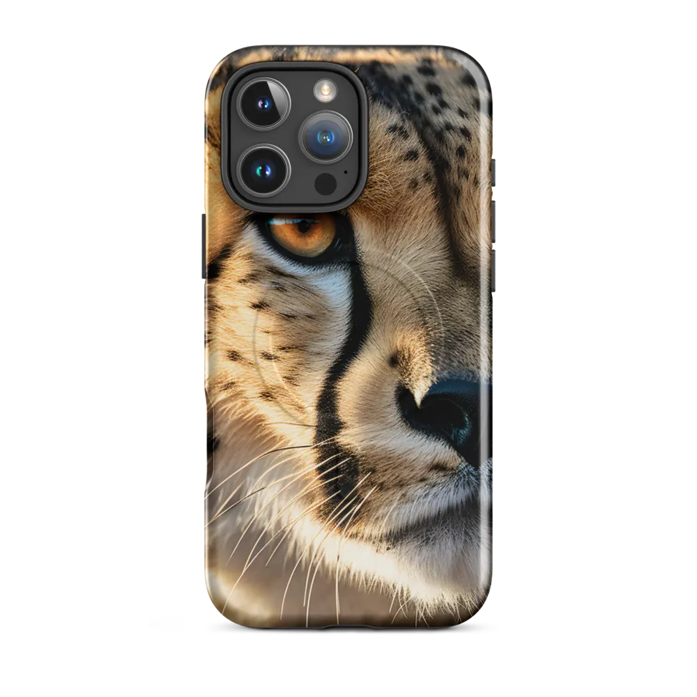 The Intense Gaze of the Cheetah