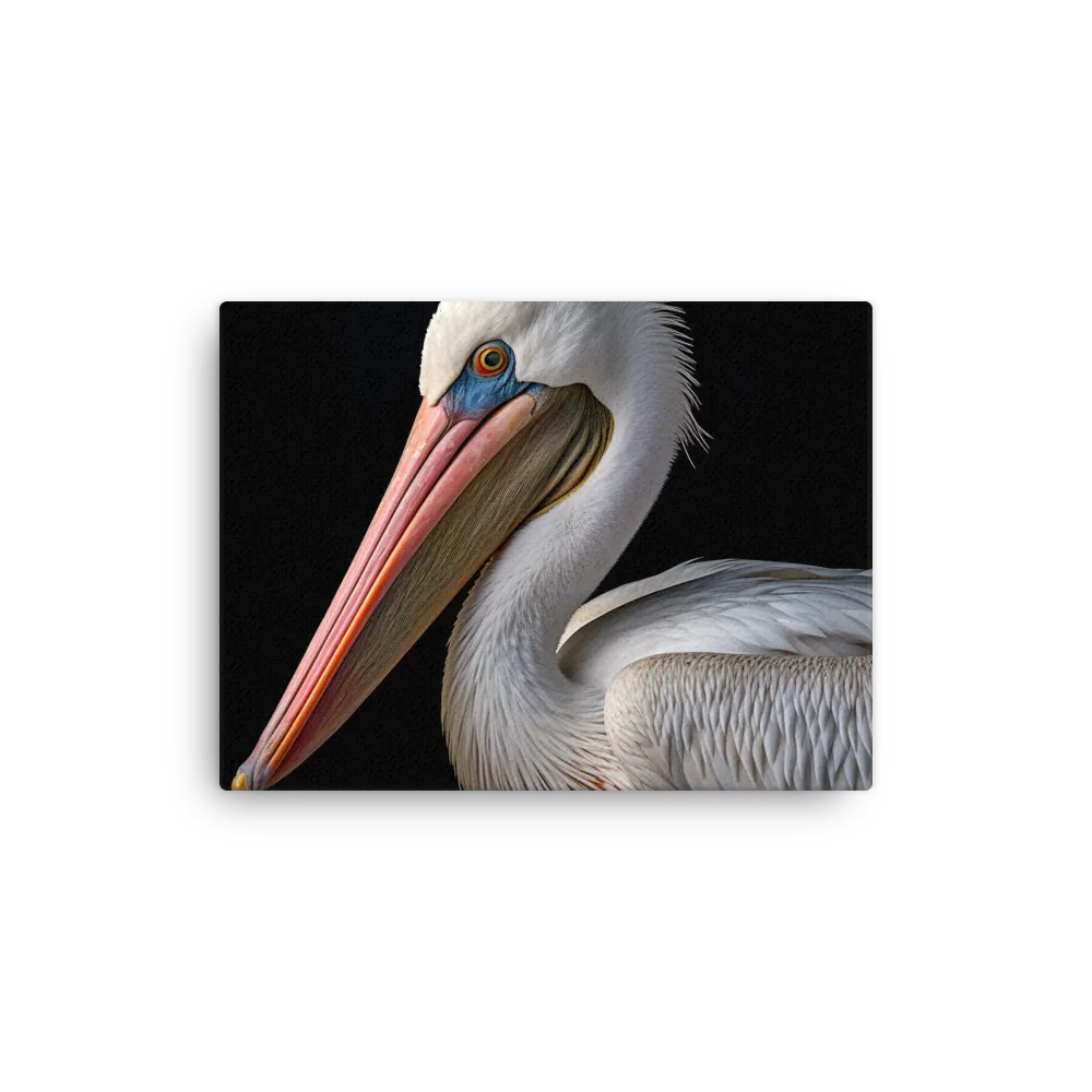 Elegance in White: The Pelican | Thin Canvas | 12″×16″