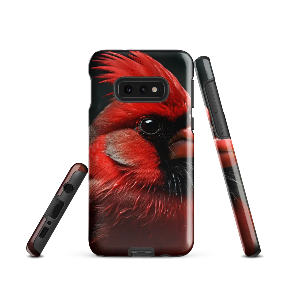 The Bold Cardinal