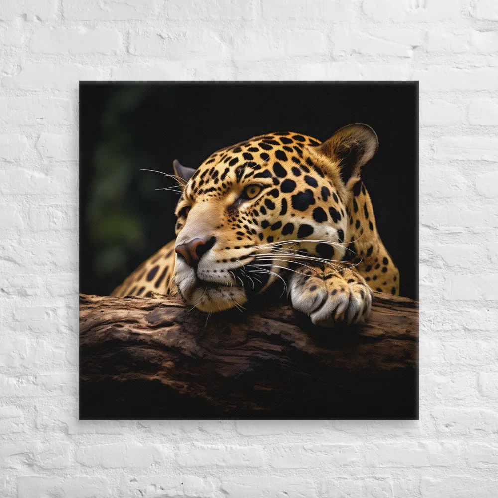 Tranquil Majesty: The Resting Leopard | Canvas | 32″×32″