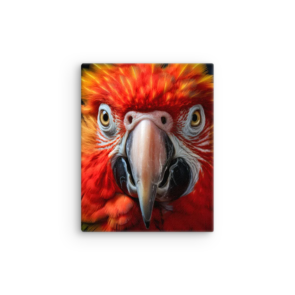 The Fiery Gaze of the Parrot