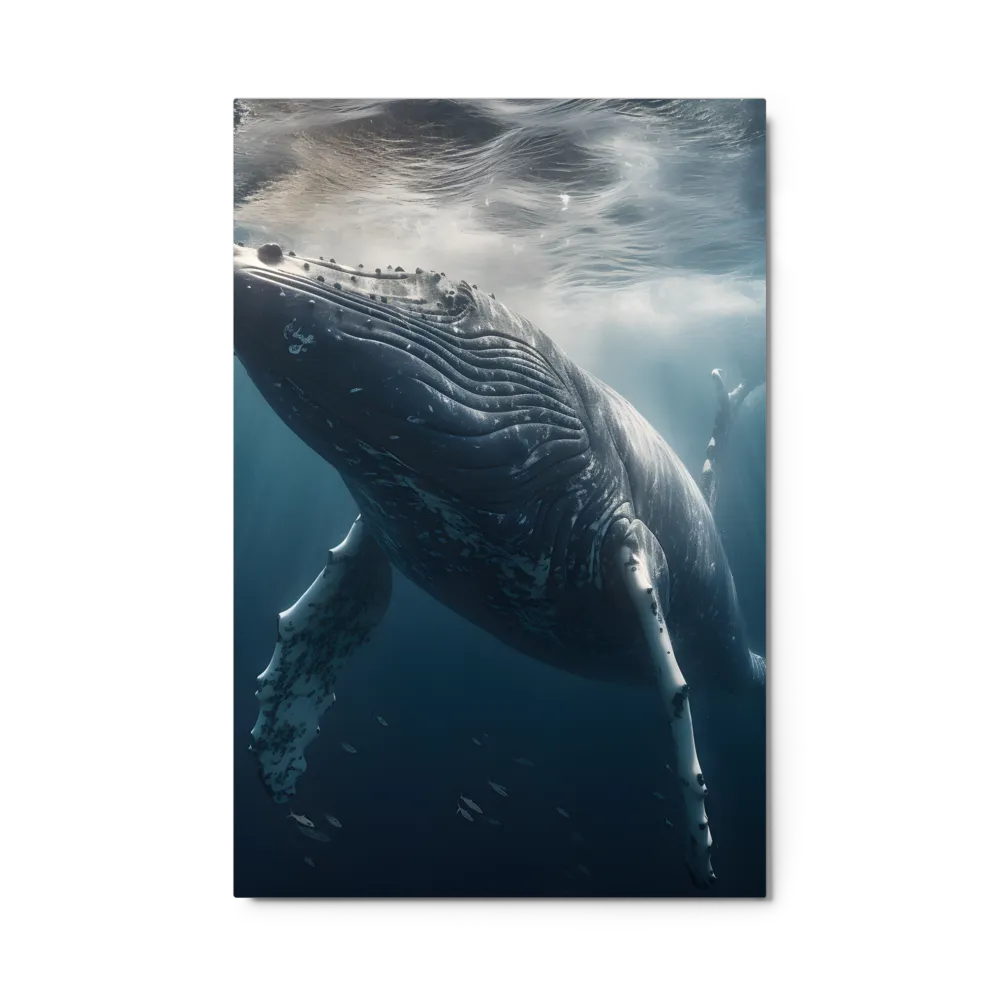 Graced by the Depths | Metal Print | 24″×36″