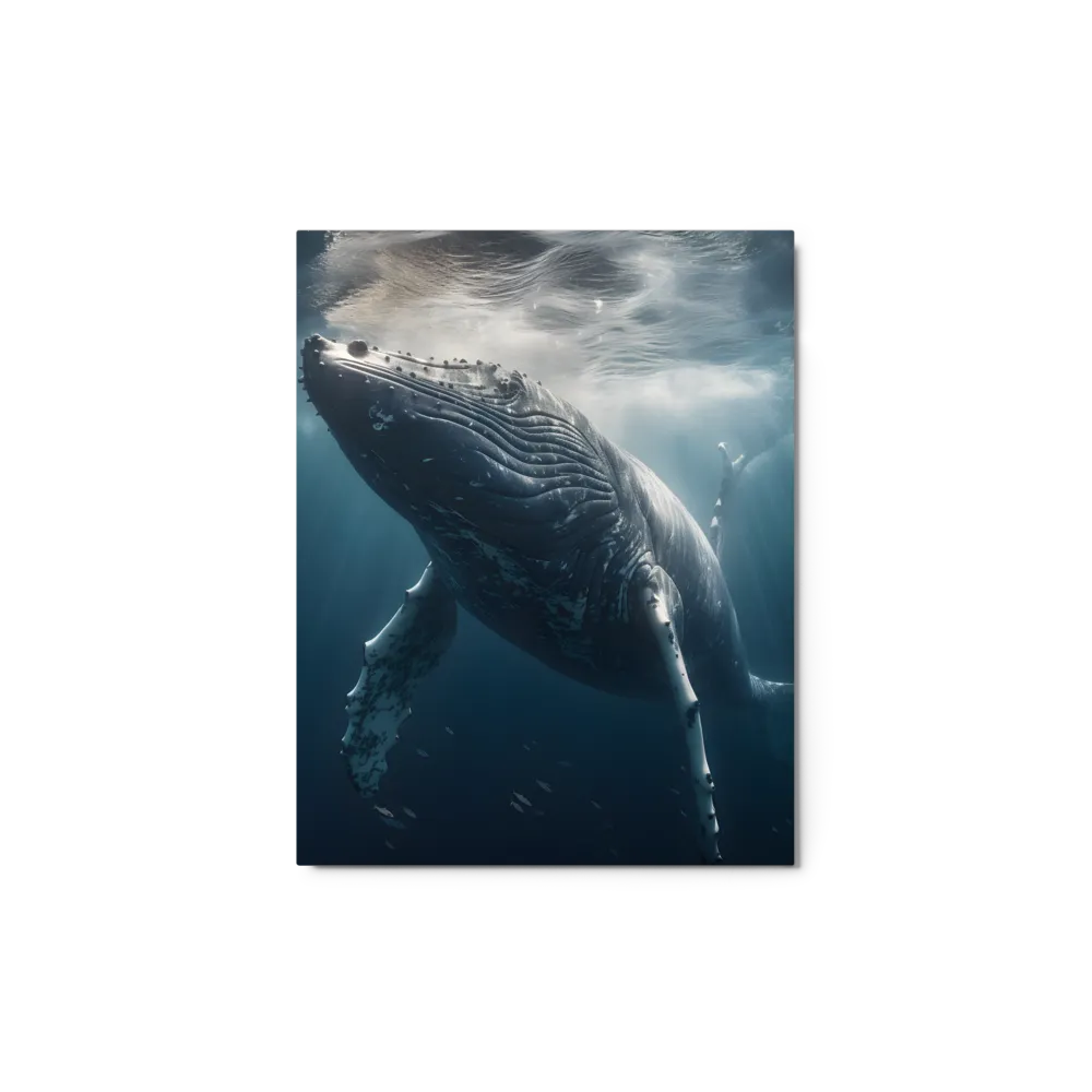 Graced by the Depths | Metal Print | 11″×14″