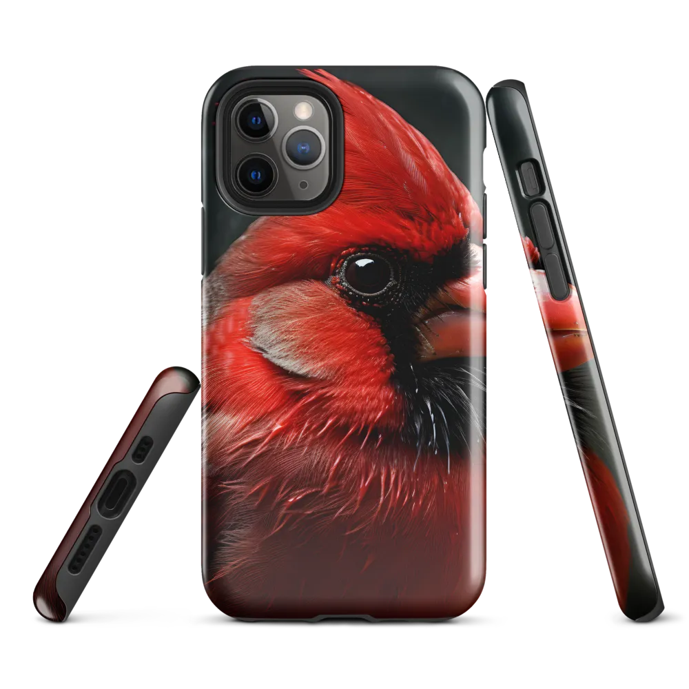 The Bold Cardinal