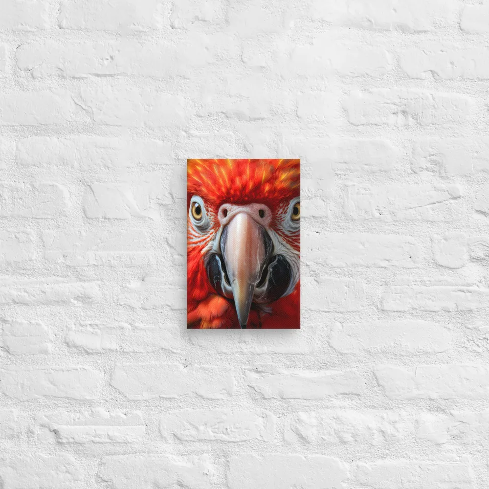 The Fiery Gaze of the Parrot