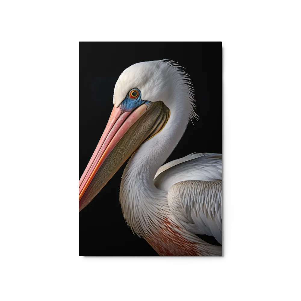 Elegance in White: The Pelican | Metal Print | 20″×30″