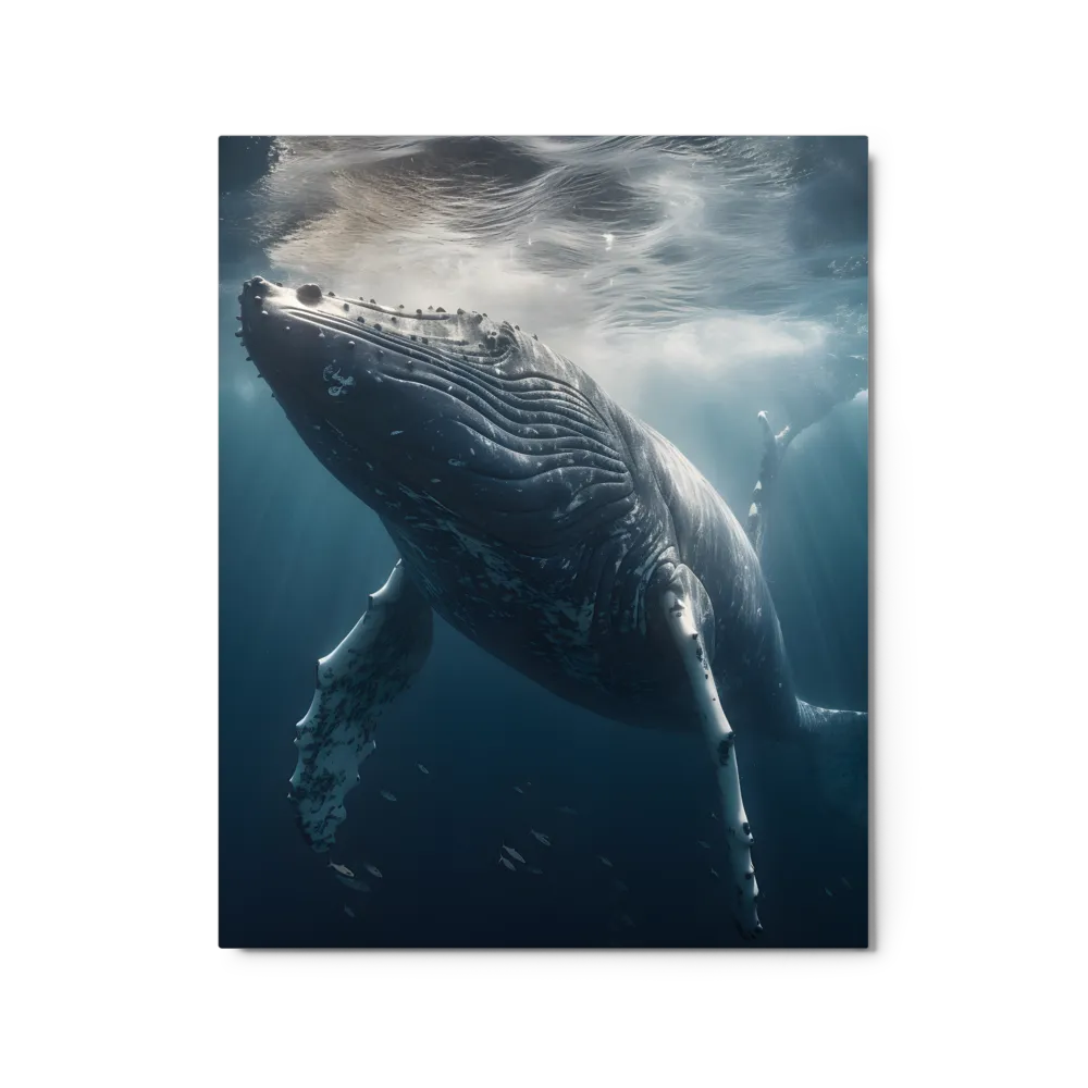 Graced by the Depths | Metal Print | 16″×20″