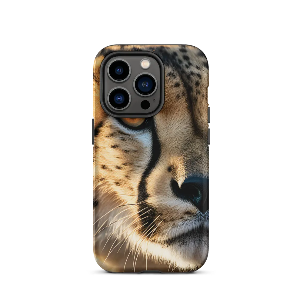 The Intense Gaze of the Cheetah