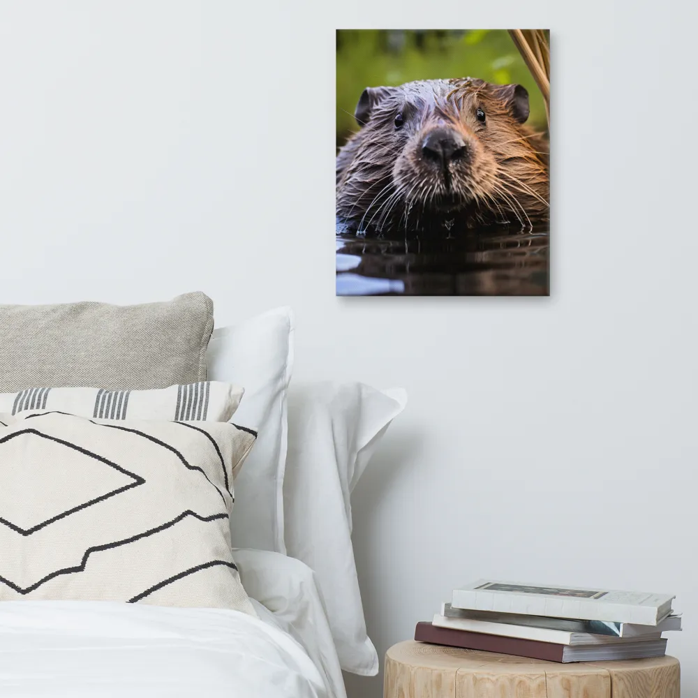 Emergence of the Beaver