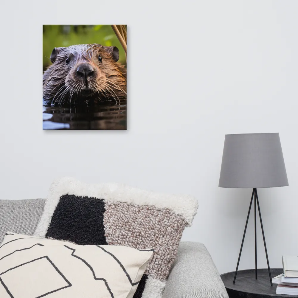 Emergence of the Beaver