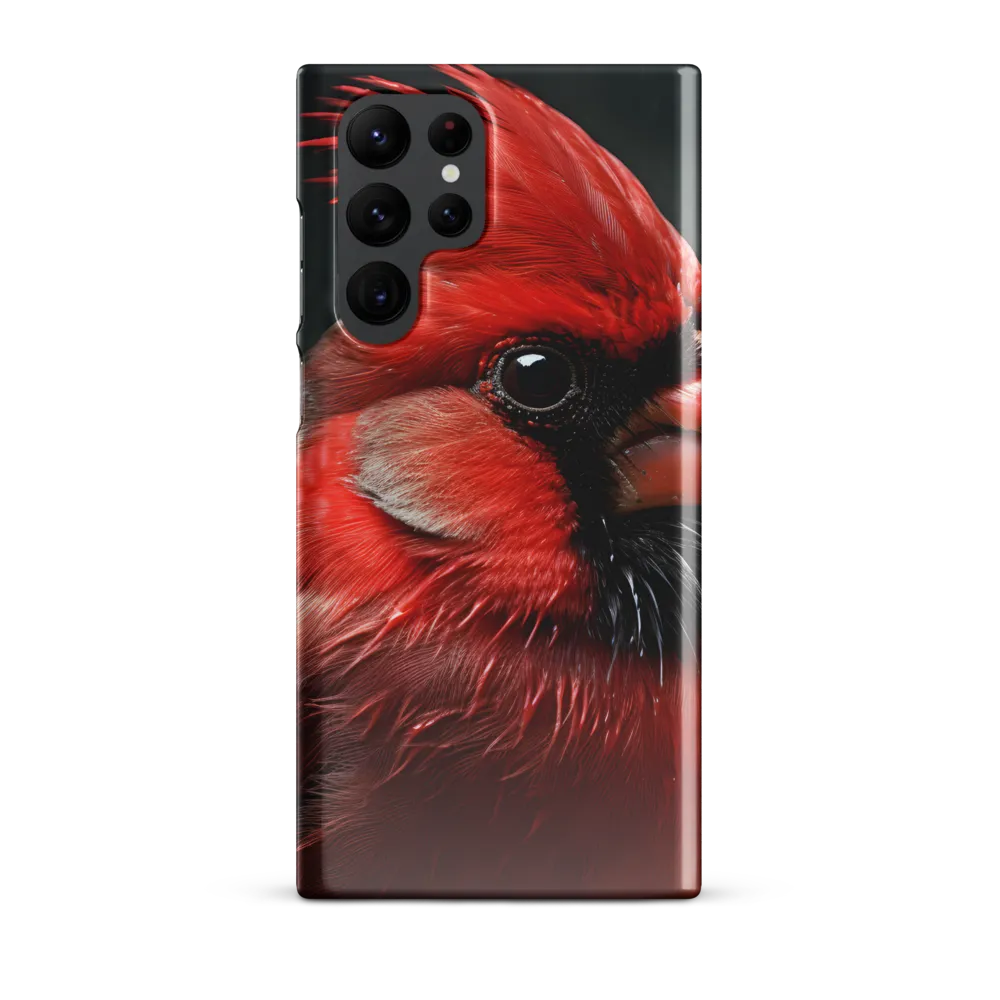 The Bold Cardinal
