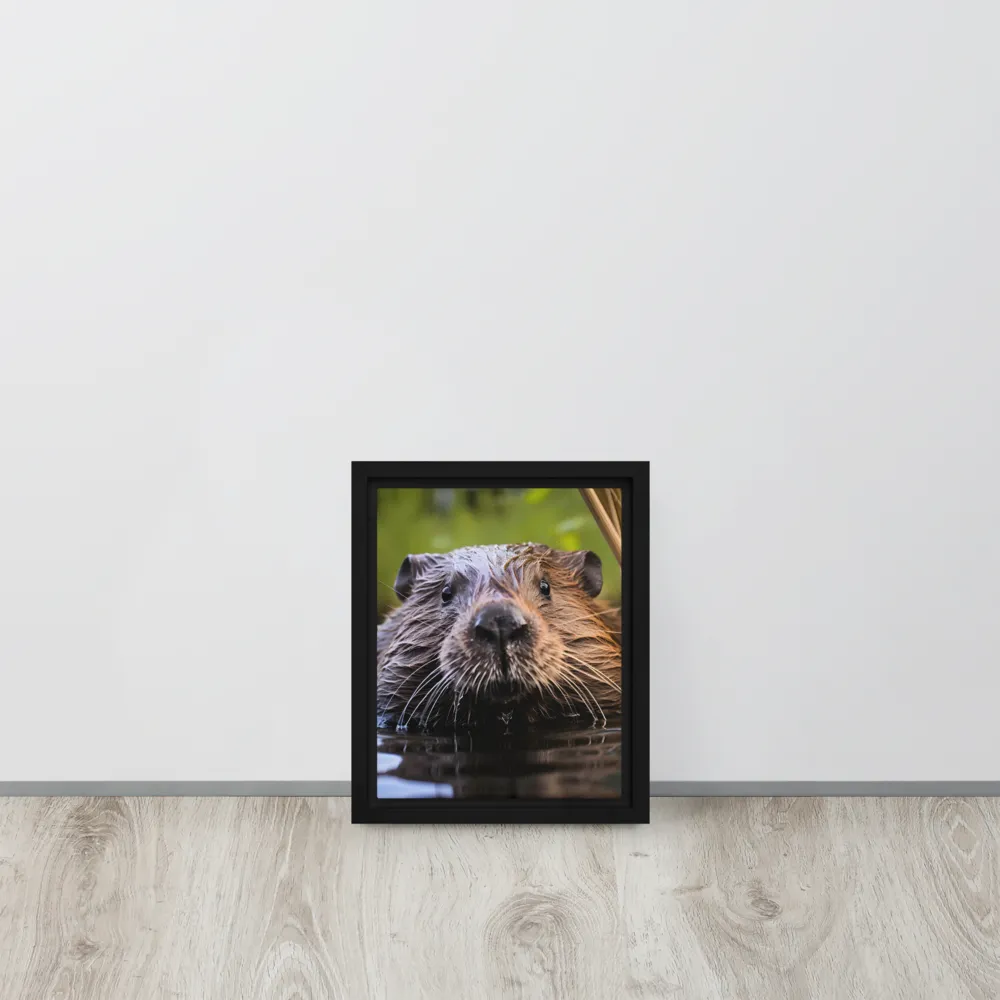 Emergence of the Beaver