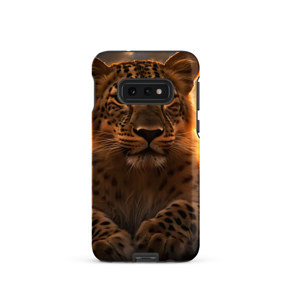 Regal Presence: The Leopard at Sunset