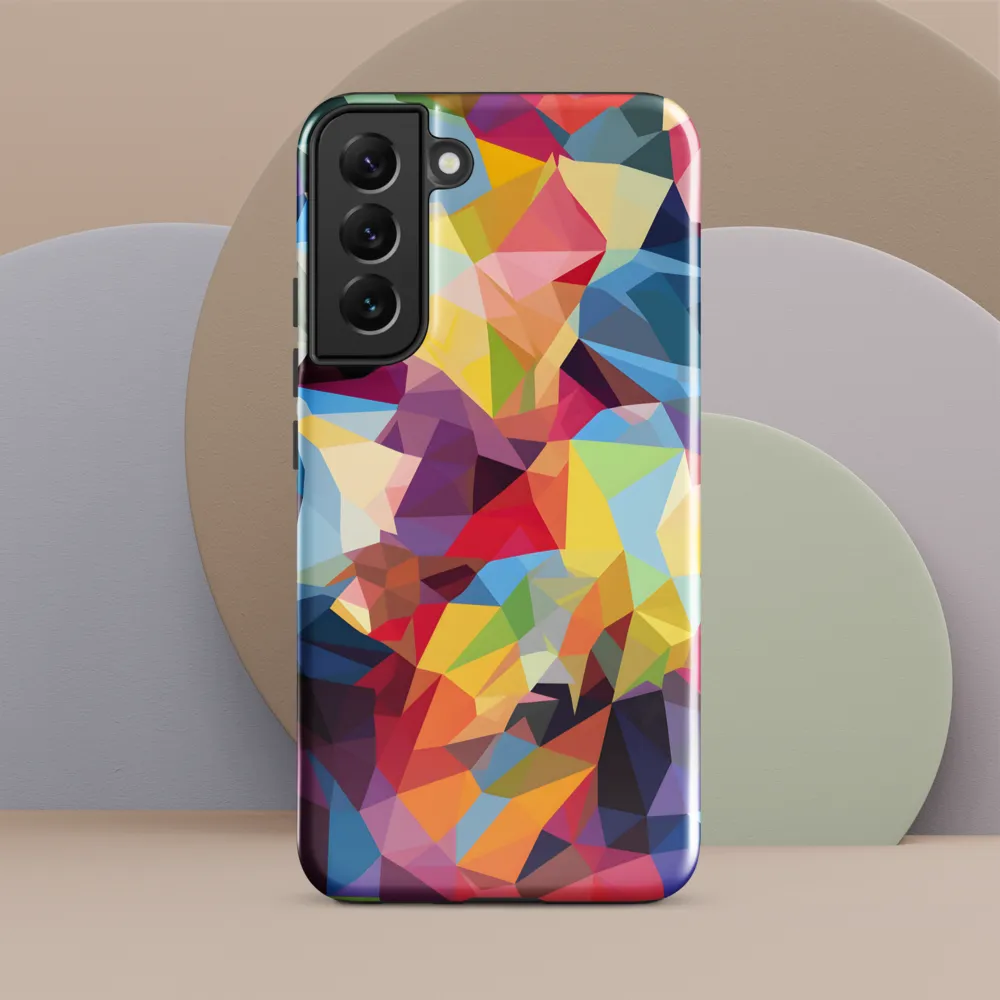 Playful Geometry: The Bear's Face
