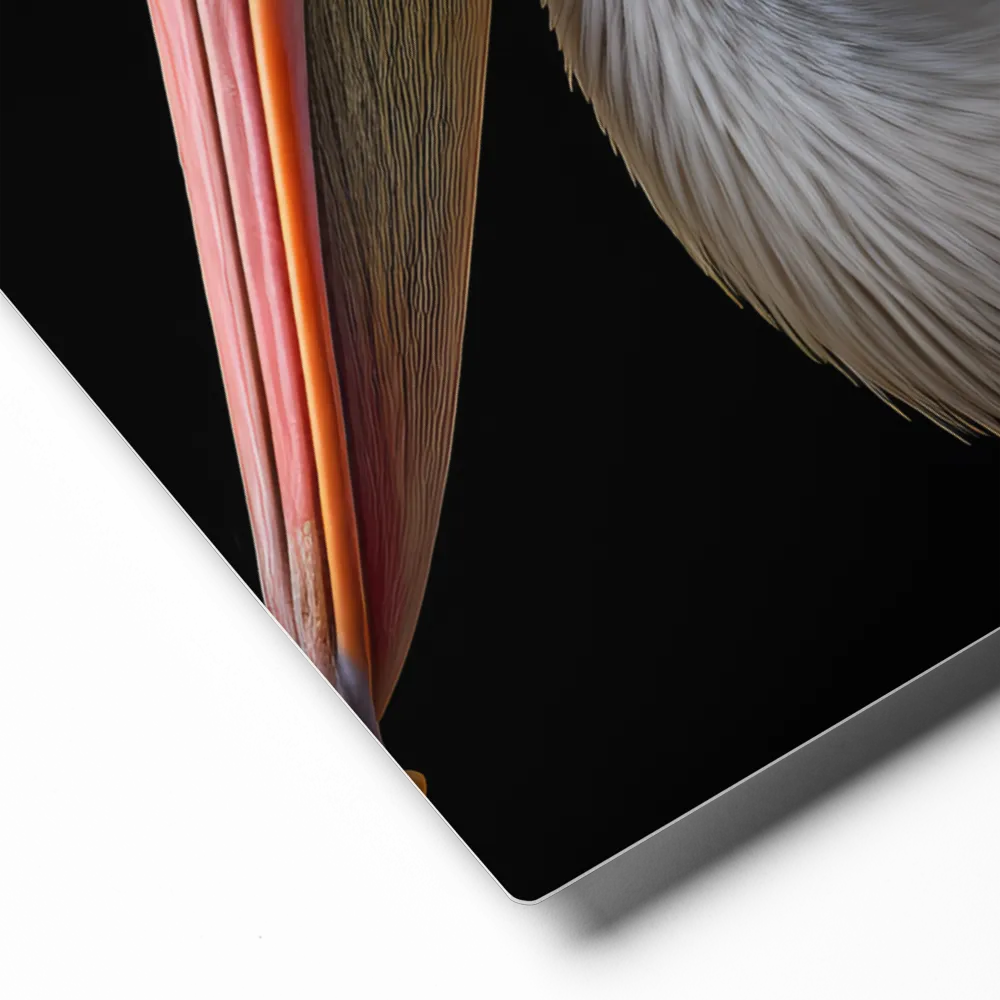 Elegance in White: The Pelican | Metal Print | 16″×20″