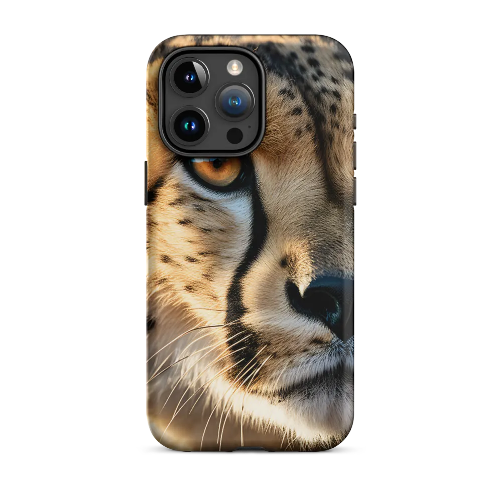 The Intense Gaze of the Cheetah