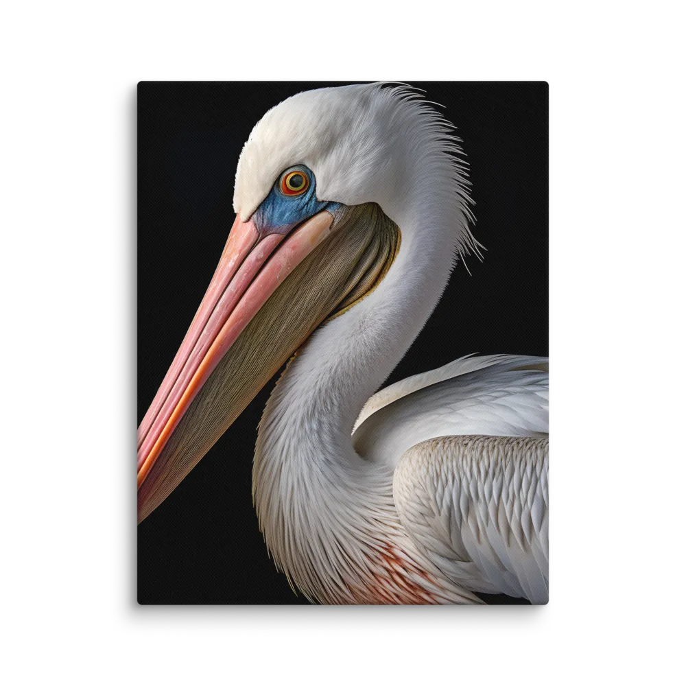 Elegance in White: The Pelican | Canvas | 11″×14″