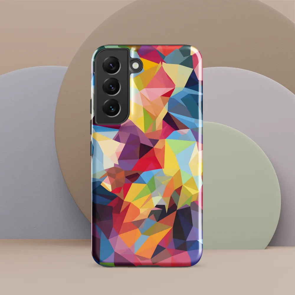 Playful Geometry: The Bear's Face