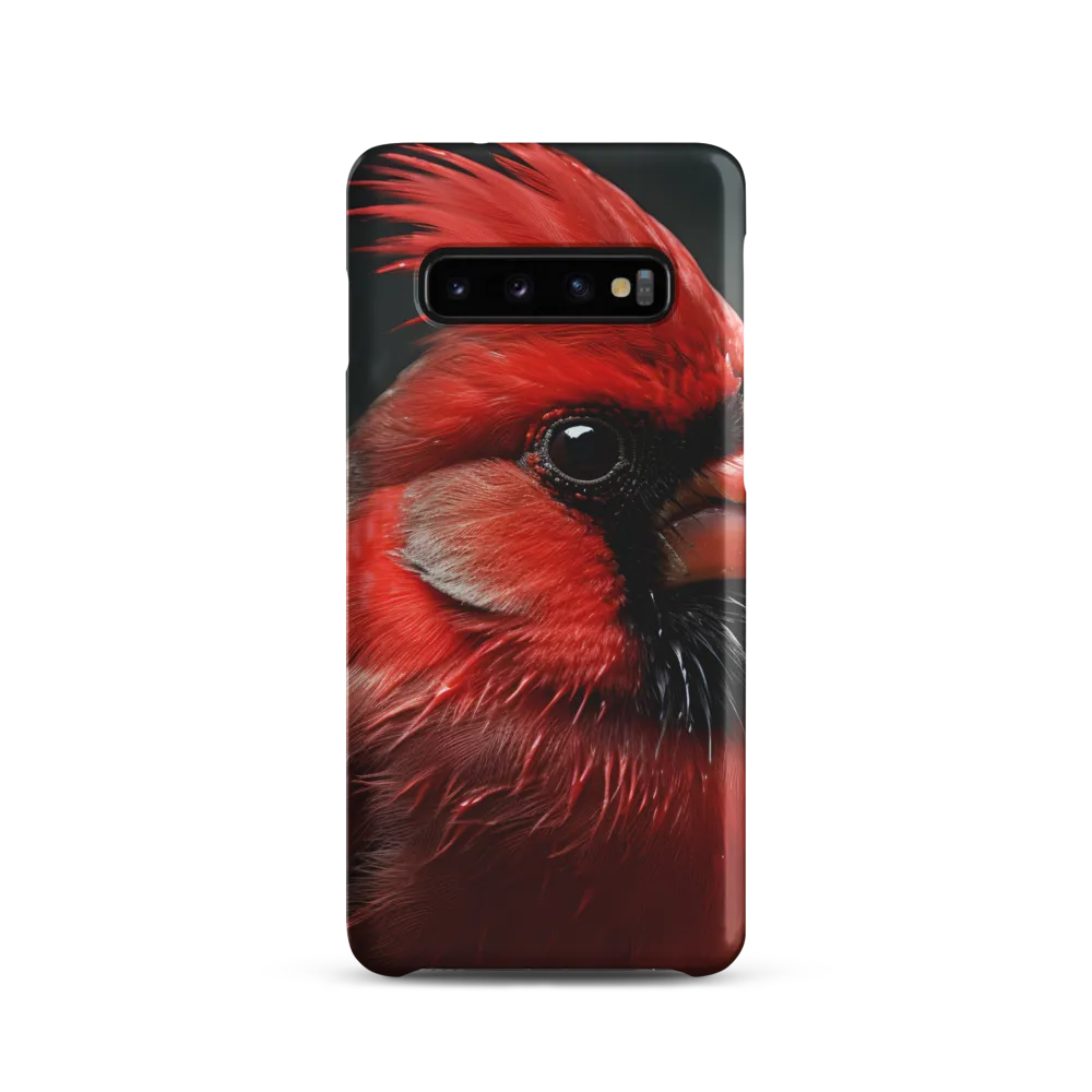 The Bold Cardinal