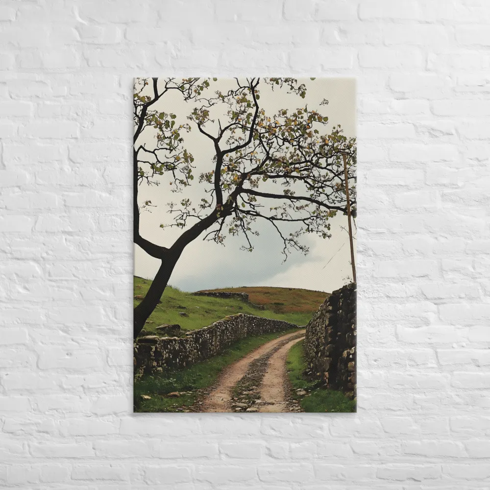 Serenity Along the Winding Path | Canvas | 32″×48″