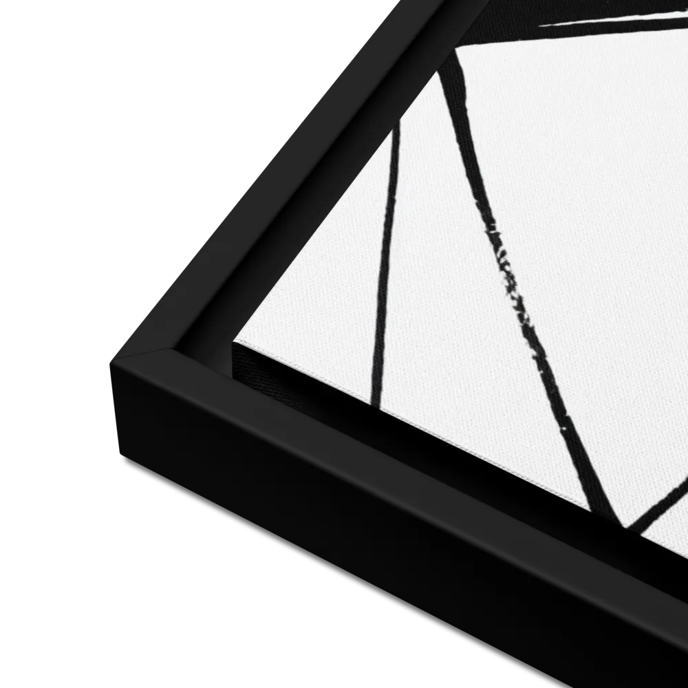 Dynamic Geometry in Ink | Canvas with Black Frame | 24″×36″