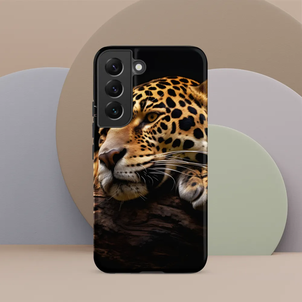 Tranquil Majesty: The Resting Leopard