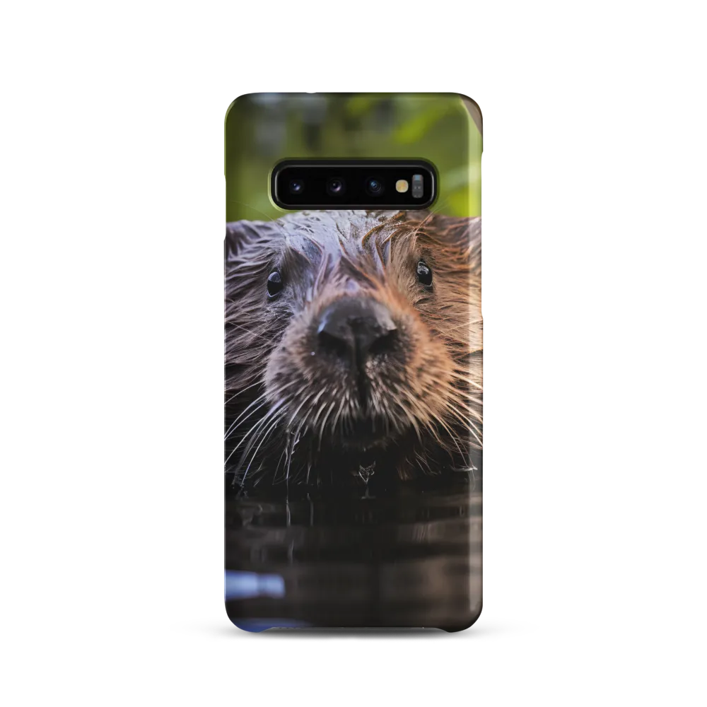Emergence of the Beaver