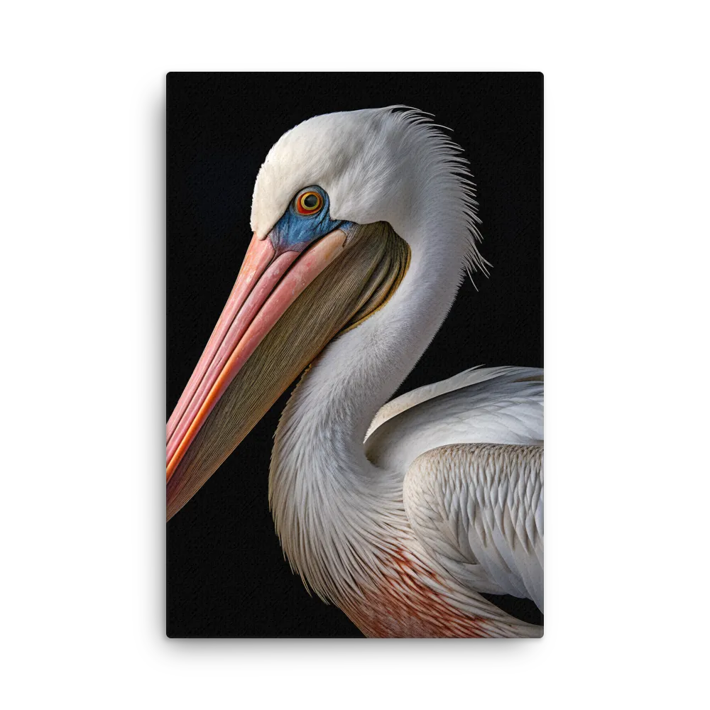 Elegance in White: The Pelican | Thin Canvas | 20″×30″